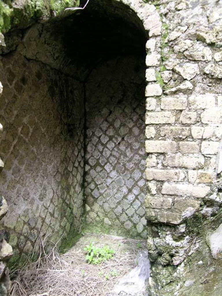 Ins Or II, 15, Herculaneum. May 2004. Rear room, detail from vaulted area near west wall, south side.
Photo courtesy of Nicolas Monteix.